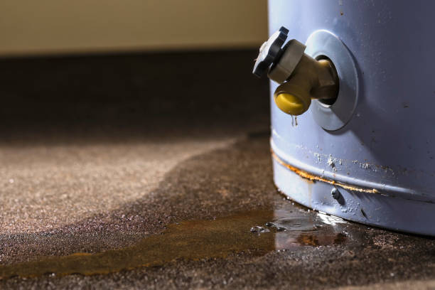 Best Ceiling water damage repair  in Hattiesburg, MS