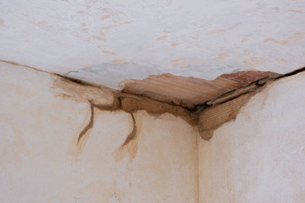 Best Flooded house restoration  in Hattiesburg, MS