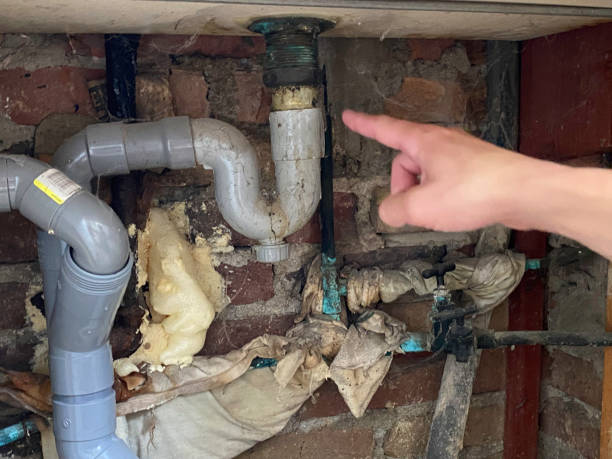 Best Sewage cleanup and water damage restoration  in Hattiesburg, MS