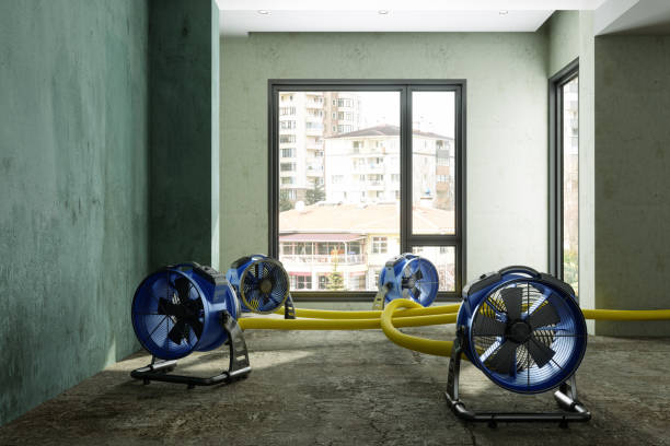Water damage restoration process in Hattiesburg, MS