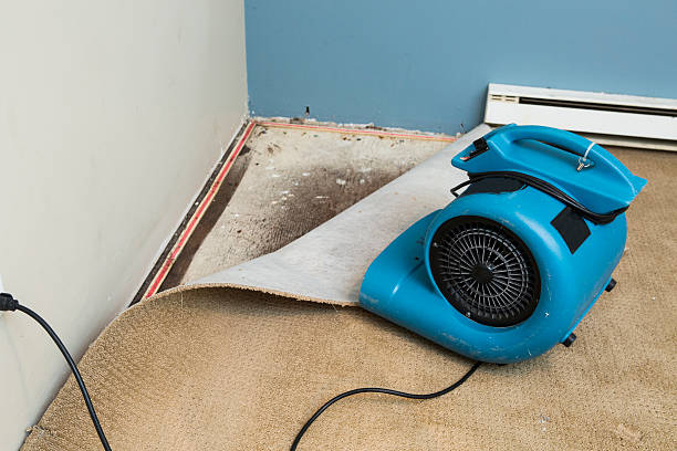 Best Water damage restoration near me  in Hattiesburg, MS